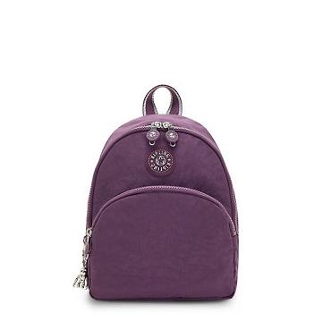 Kipling Paola Small Rugzak Paars | België 1617LI